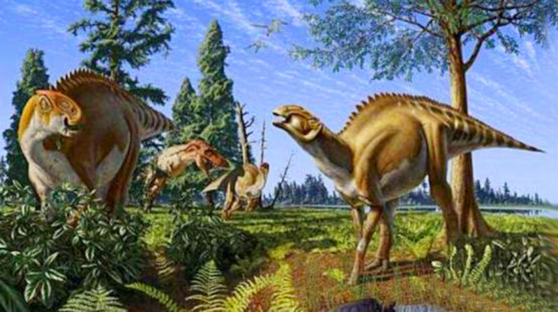 10米长的鸭嘴龙化石，在非洲被发现，它是如何跑到非洲的？