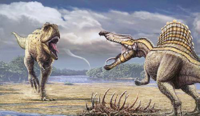 能和霸王龙叫板—白垩纪最可怕的恐龙