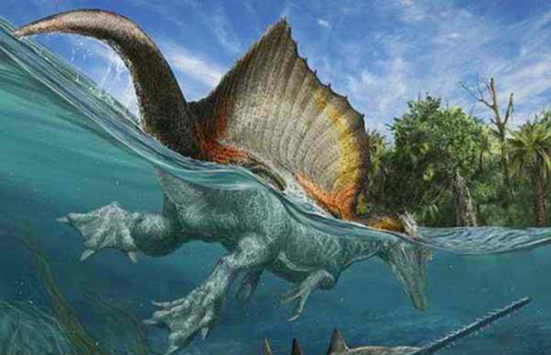 能和霸王龙叫板—白垩纪最可怕的恐龙-恐龙知识讲堂-自贡飞扬文化艺术